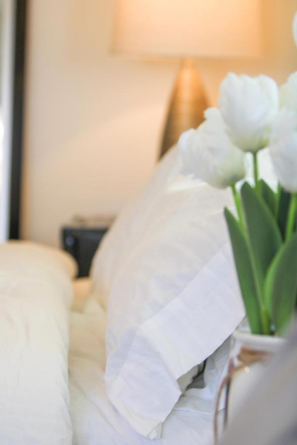 Near Clearwater And Tarpon Spring With Water View Apartment ฮอลิเดย์ ภายนอก รูปภาพ