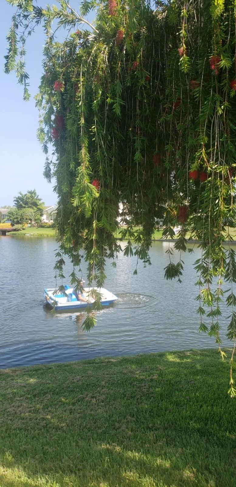 Near Clearwater And Tarpon Spring With Water View Apartment ฮอลิเดย์ ภายนอก รูปภาพ