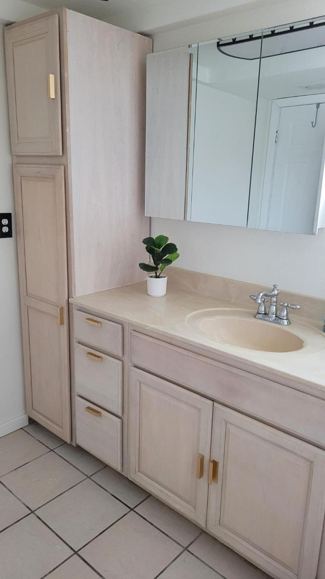 Near Clearwater And Tarpon Spring With Water View Apartment ฮอลิเดย์ ภายนอก รูปภาพ