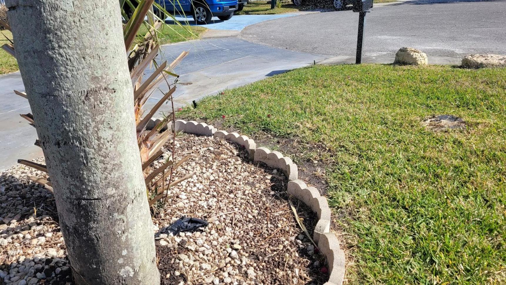 Near Clearwater And Tarpon Spring With Water View Apartment ฮอลิเดย์ ภายนอก รูปภาพ
